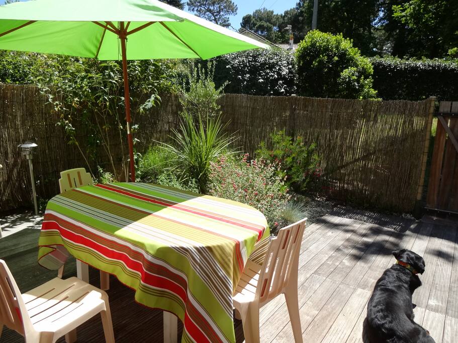 Table de jardin