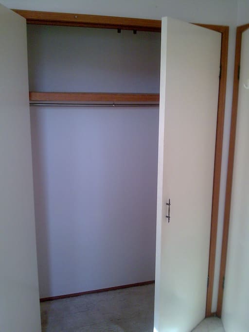 Closet in the room