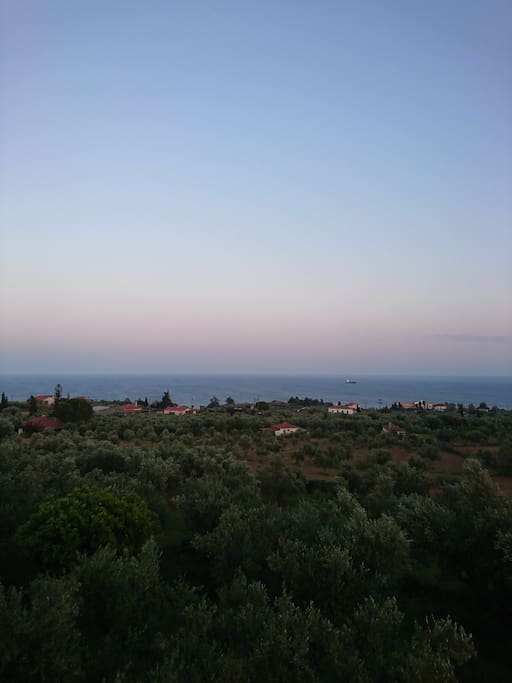View from balcony