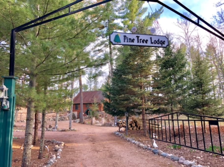 Pine Tree Lodge Cabins for Rent in Pickerel, Wisconsin, United States