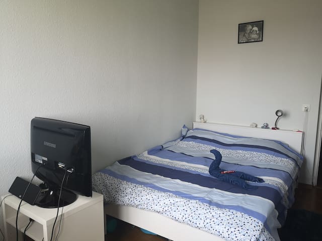 Airbnb Lancy Vacation Rentals Places To Stay Geneva