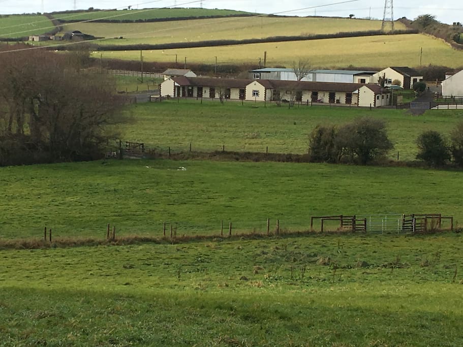 Wey Meadow Stables and Cottages