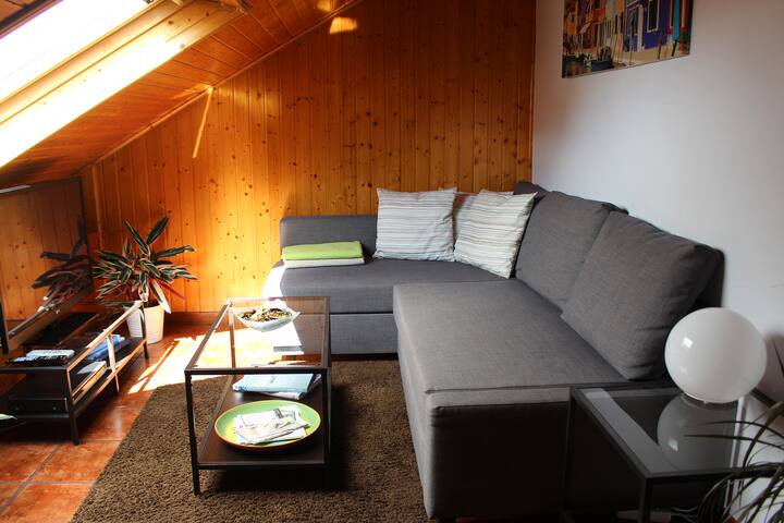 Penthouse with spectacular views