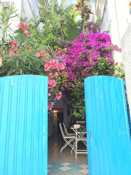 The entrance by the garden