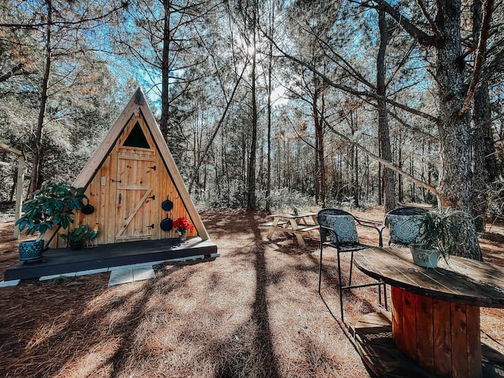 Top 17 Awesome Tiny Houses For Rent In Florida, USA Updated 2024