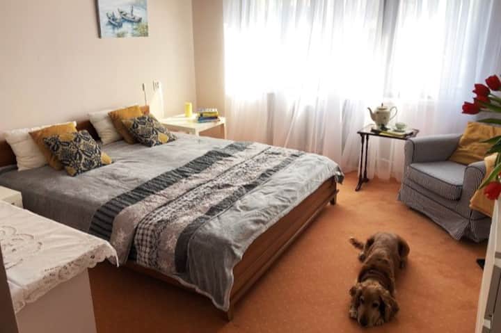 1. Spacious, bright room, 2 people close to home - Houses for Rent in  Podkowa Leśna, mazowieckie, Poland - Airbnb