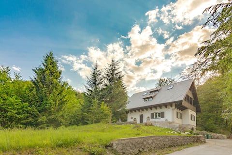 Lake Bohinj - Luxury Hunting Lodge, 5 bedrooms