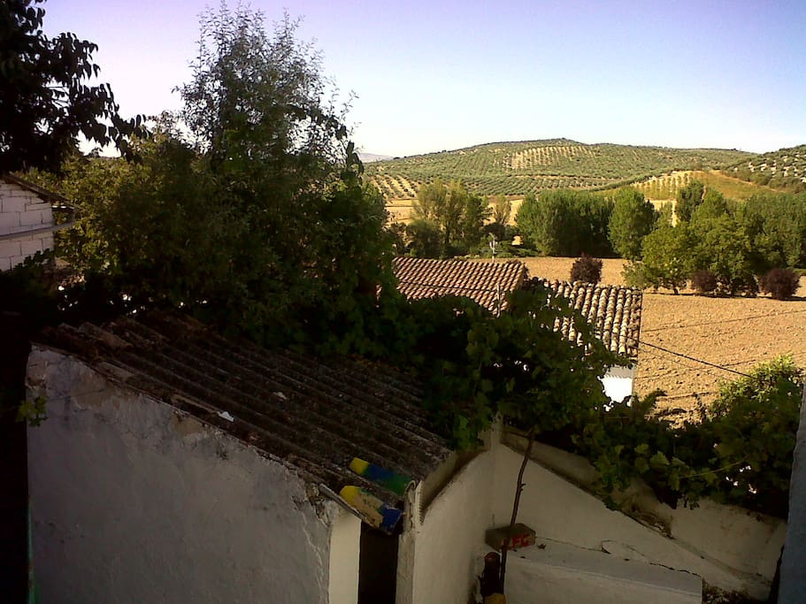 View from upstairs