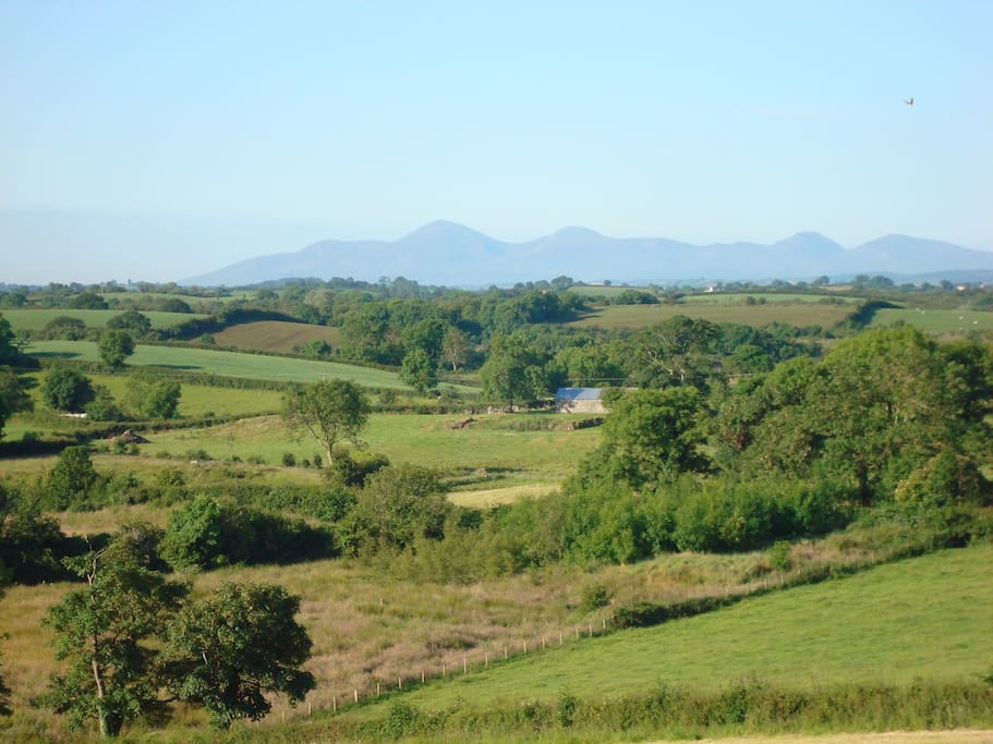 Views of the Mourne Mountains from our top hill