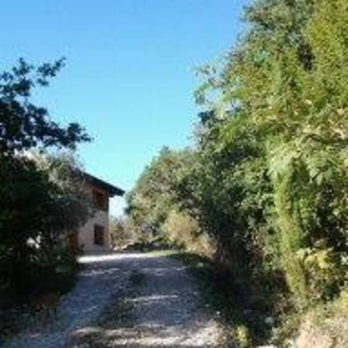 La nostra casa tra querce e ulivi
