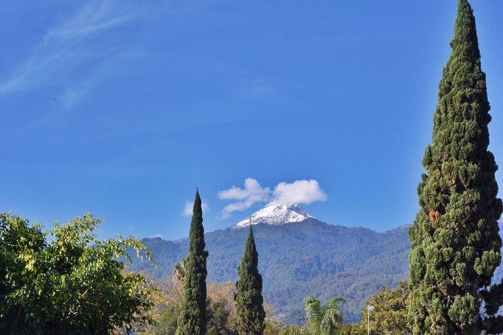 Vista privilegiada desde el jardin