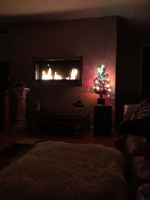 Celebrate the holidays at the lake