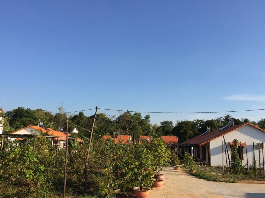 cloudless sky