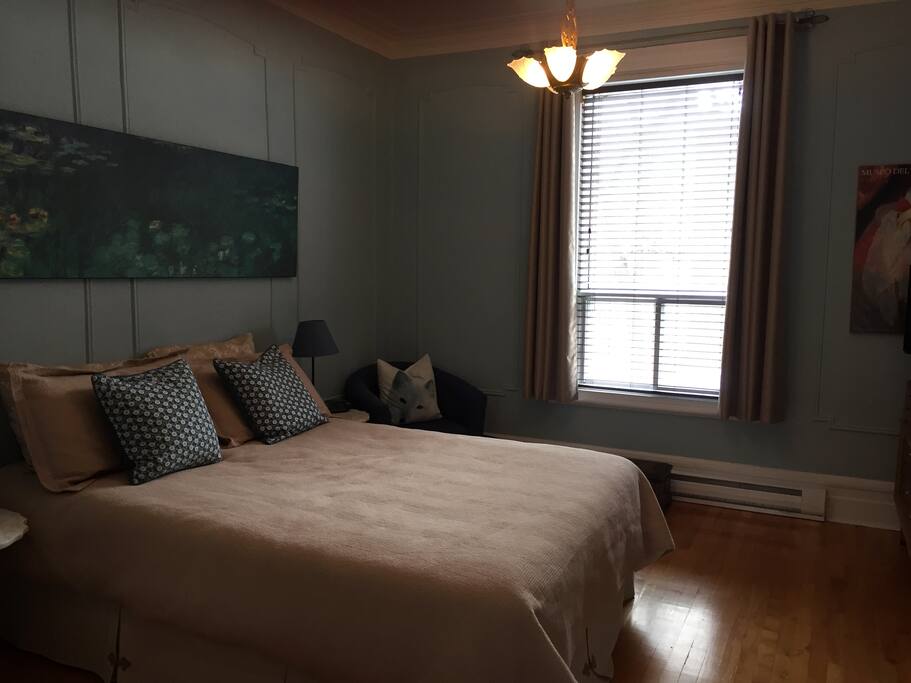 Very sunny room