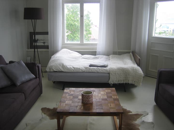 Მისაღებ ოთახში დაძინებული ხველა. Ის 140 სმ-ია და ამ ოთახს აქვს გასრიალებული კარი მის დასაკეტად. 