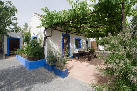 Nice cottage with pool near Granada