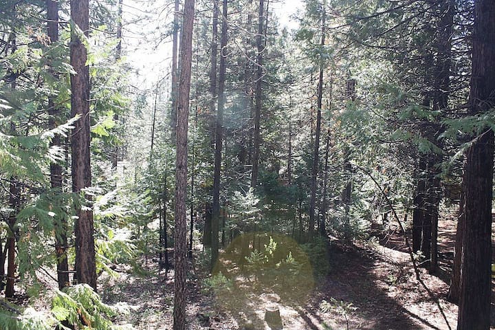 10 Vacation Rentals In Arnold California Updated 2020 Trip101
