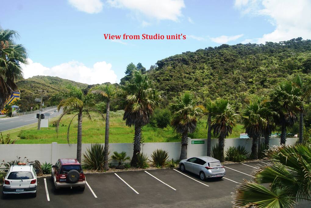 View from Studio unit