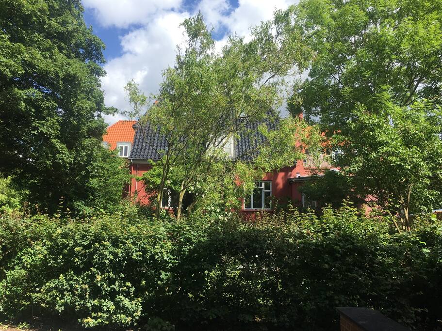 The house