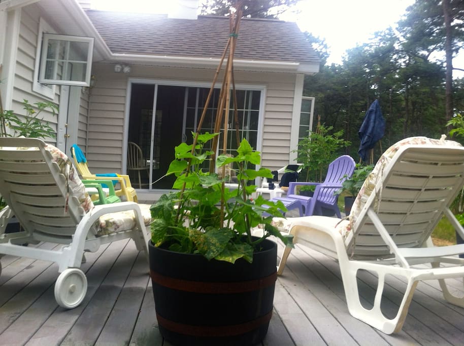 Back deck