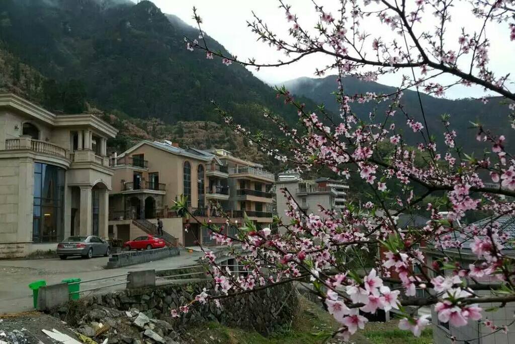 全景
