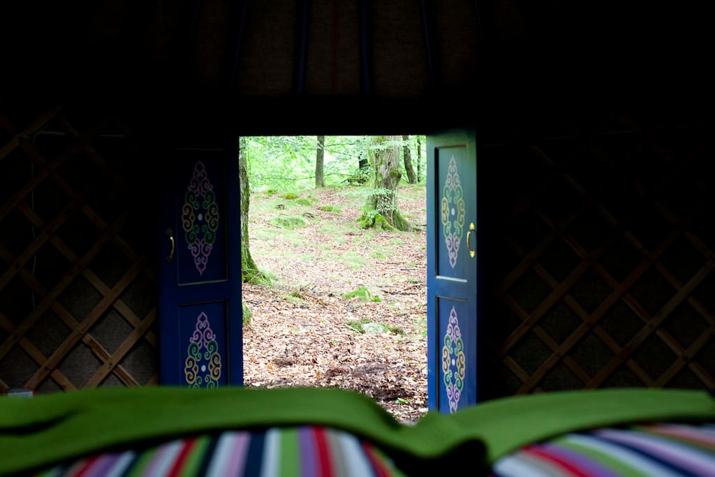 Sleep in the darkness and silence and wake up to the stunning view of the beech forest.