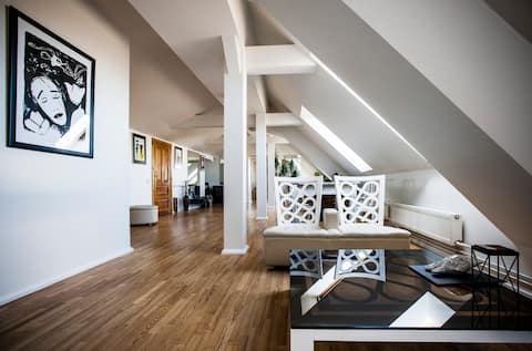 Penthouse apartment with tower and terrace. Center