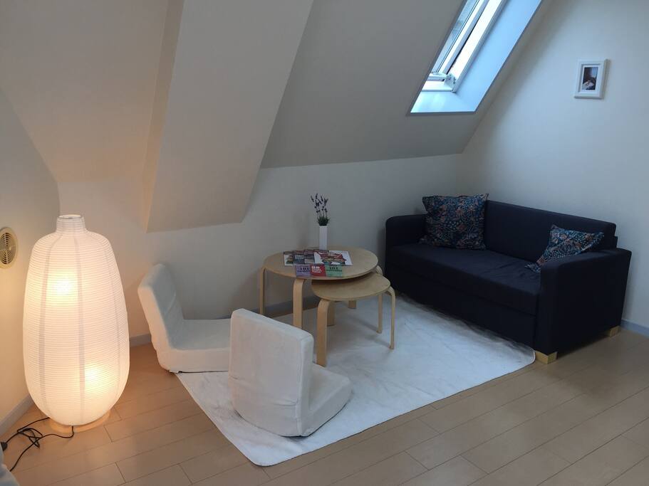 Living Room and pull out bed