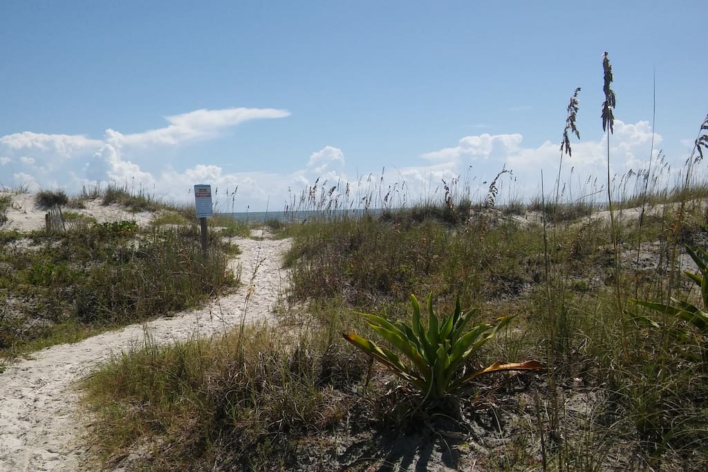 Beach path
