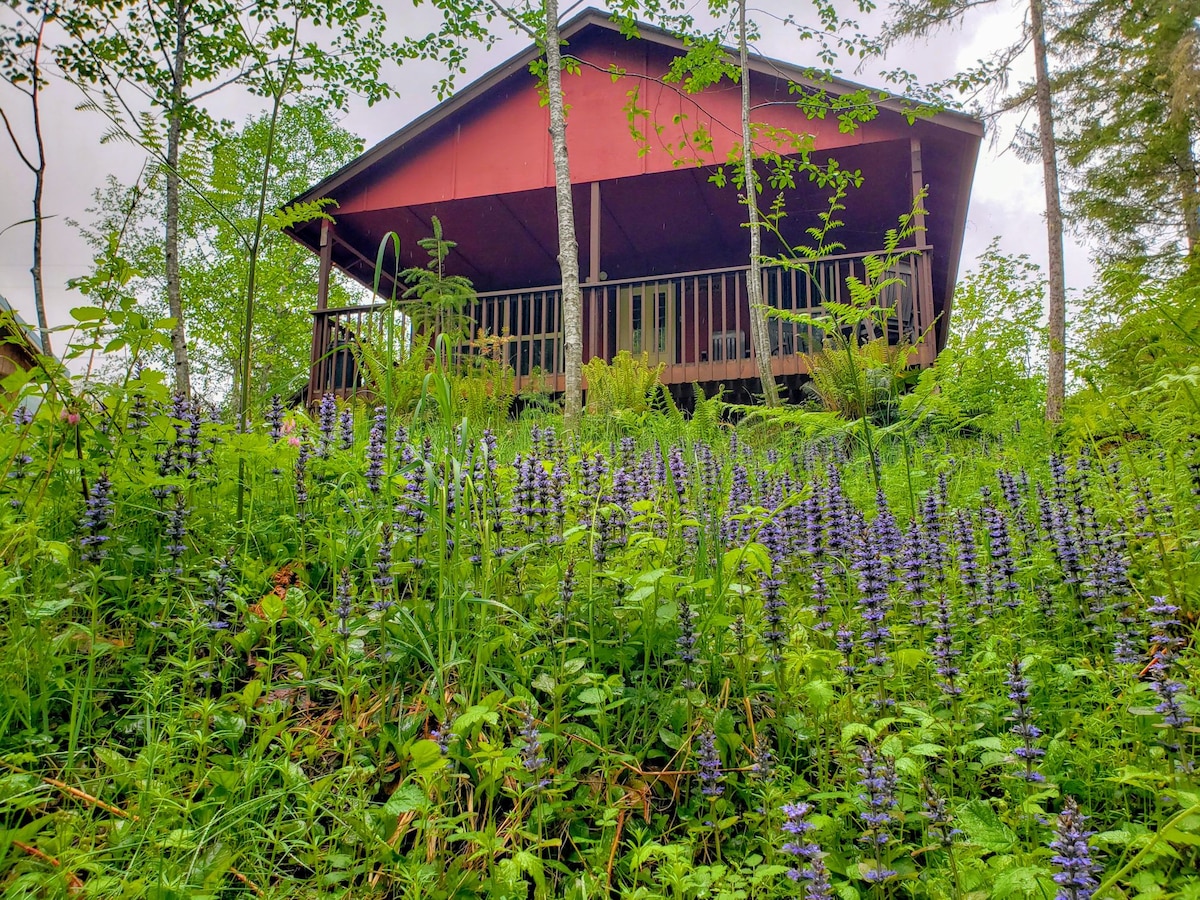 A charming cabin is nestled among lush greenery, surrounded by vibrant purple wildflowers. The rustic design features a red exterior and a covered porch, blending seamlessly with the natural landscape. Tall trees frame the scene, creating a peaceful and serene setting.