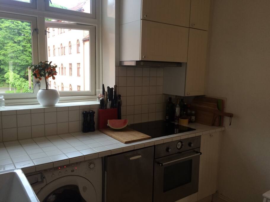 Bright kitchen, with morning sun..