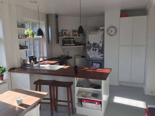 Christianshavn Penthouse gallery image 4