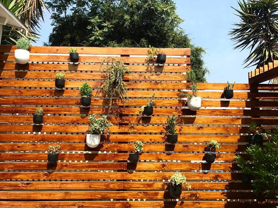 Living wall on private backyard patio