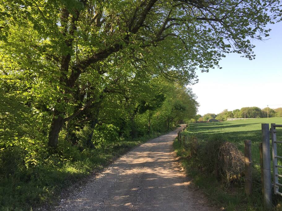The farm track