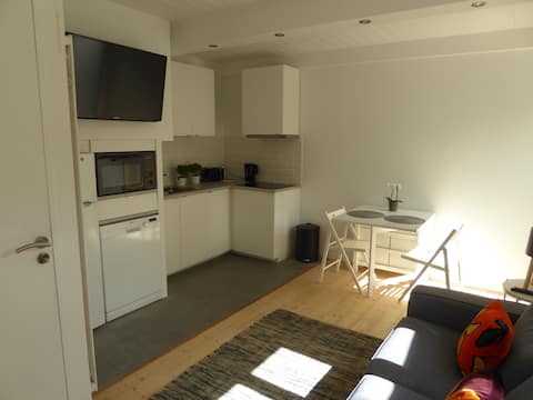 Successful Airbnb property: Small air-conditioned house - 2 bedrooms in Issy Les Moulineaux