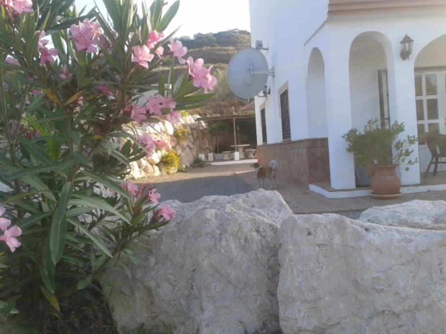 Side of Villa