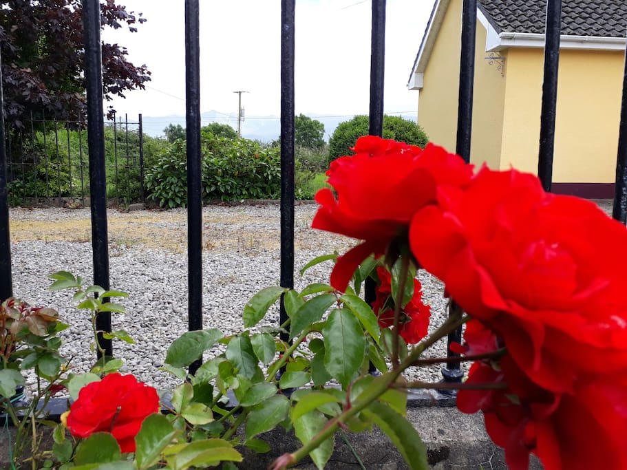 View of rear of house from garden through railings.