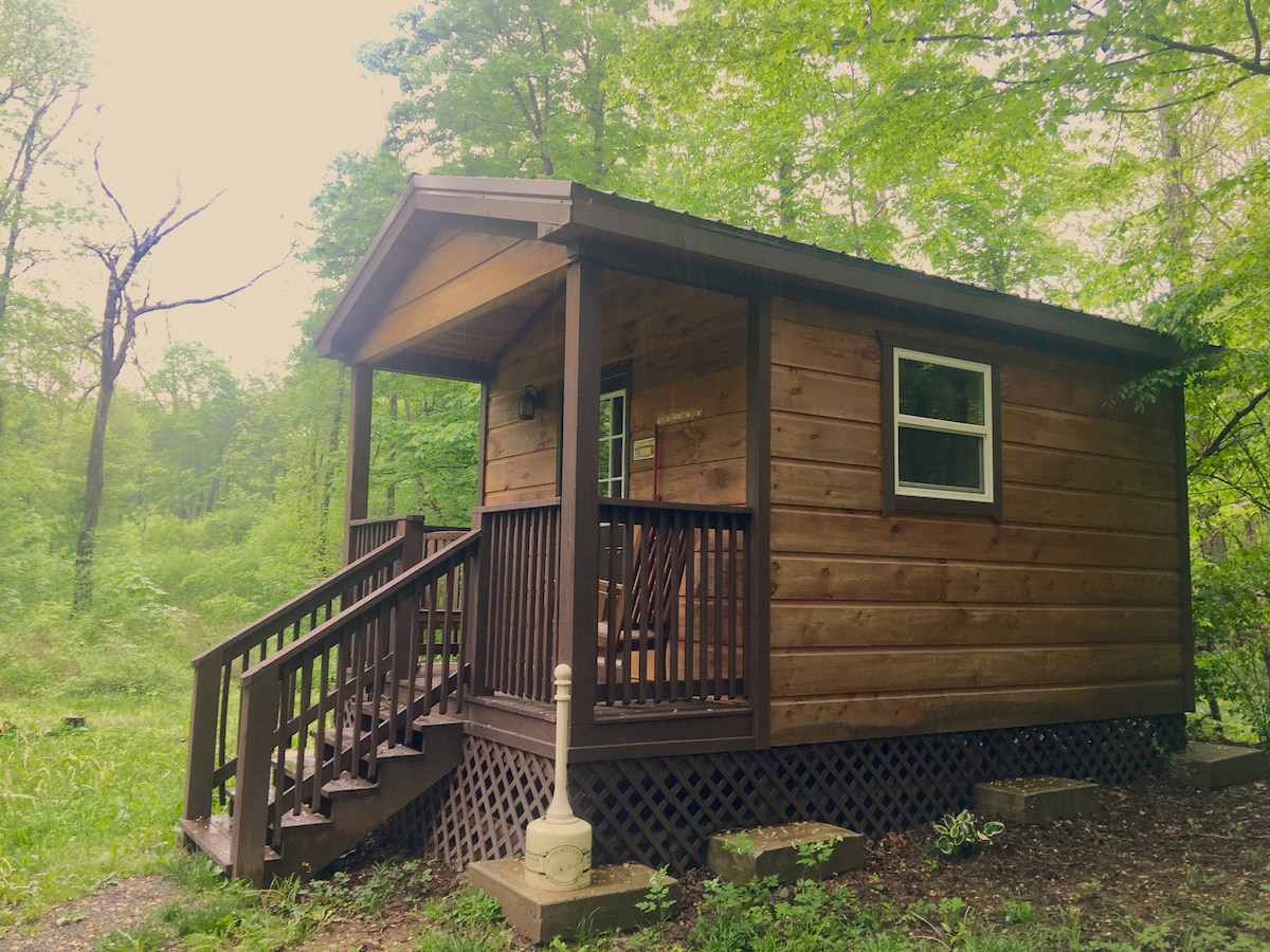 A charming wooden cabin is nestled among lush greenery. The exterior features a gabled roof and a welcoming front porch with steps leading up to it. Surrounding trees create a serene natural environment, enhancing the privacy of the cabin.