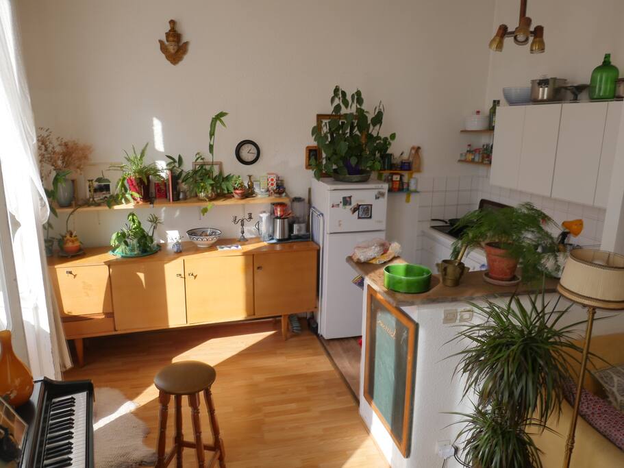 salon/cuisine