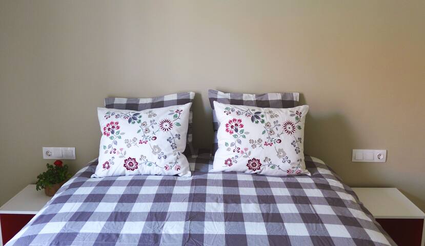 Parte Vieja Donostia- Dos playas gallery image 3