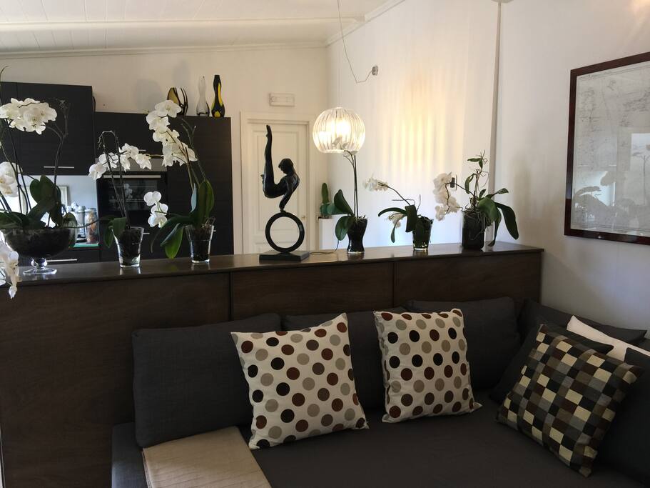 the sofa-bed in the living room