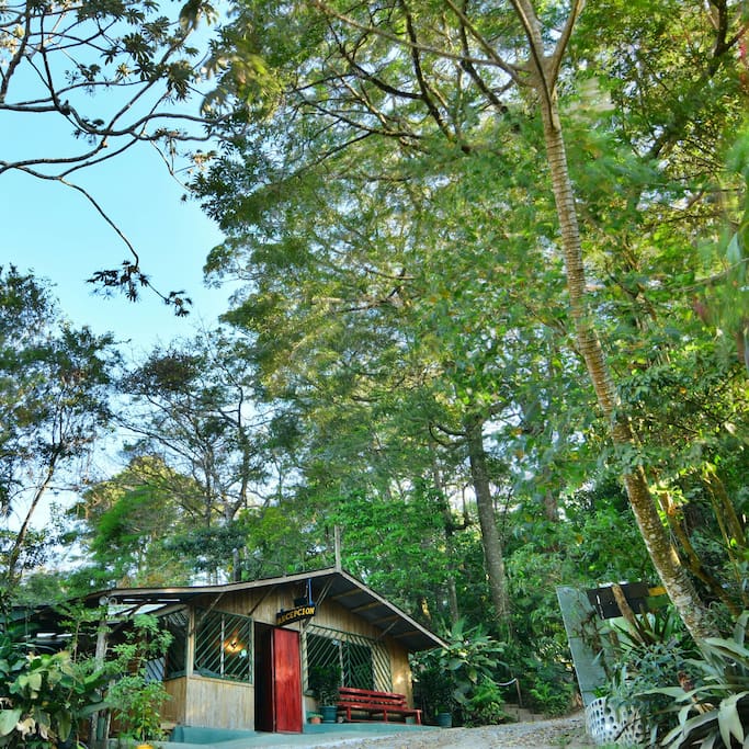 Nuestra casa en el Bosque / Our house in the forest