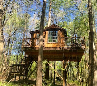 Cherry Treesort "Miss Molly"