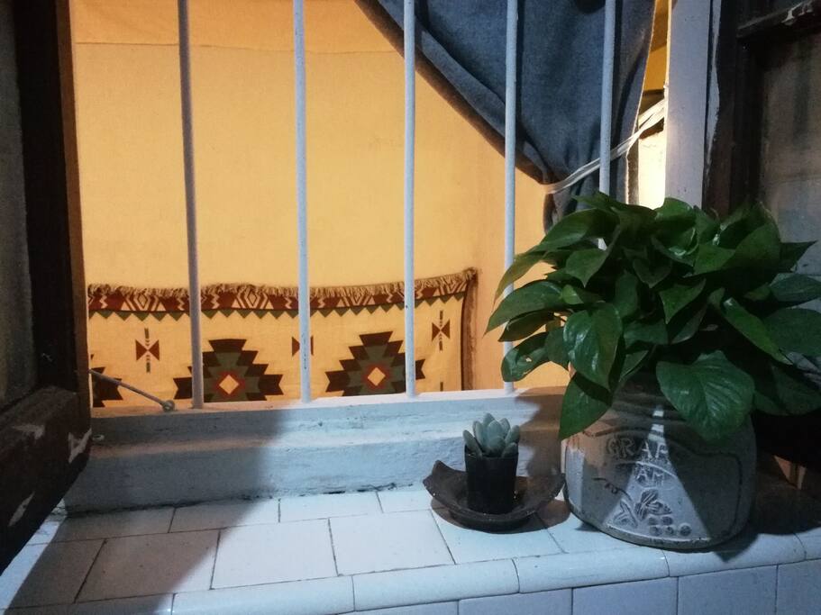 有窗,和明月光。