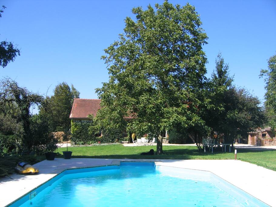 Grande piscine de 11 m par 5 avec fosse à plonger: une partie petit bassin de 1,2 de profondeur et une partie pour plonger de 2,4 m de profondeur