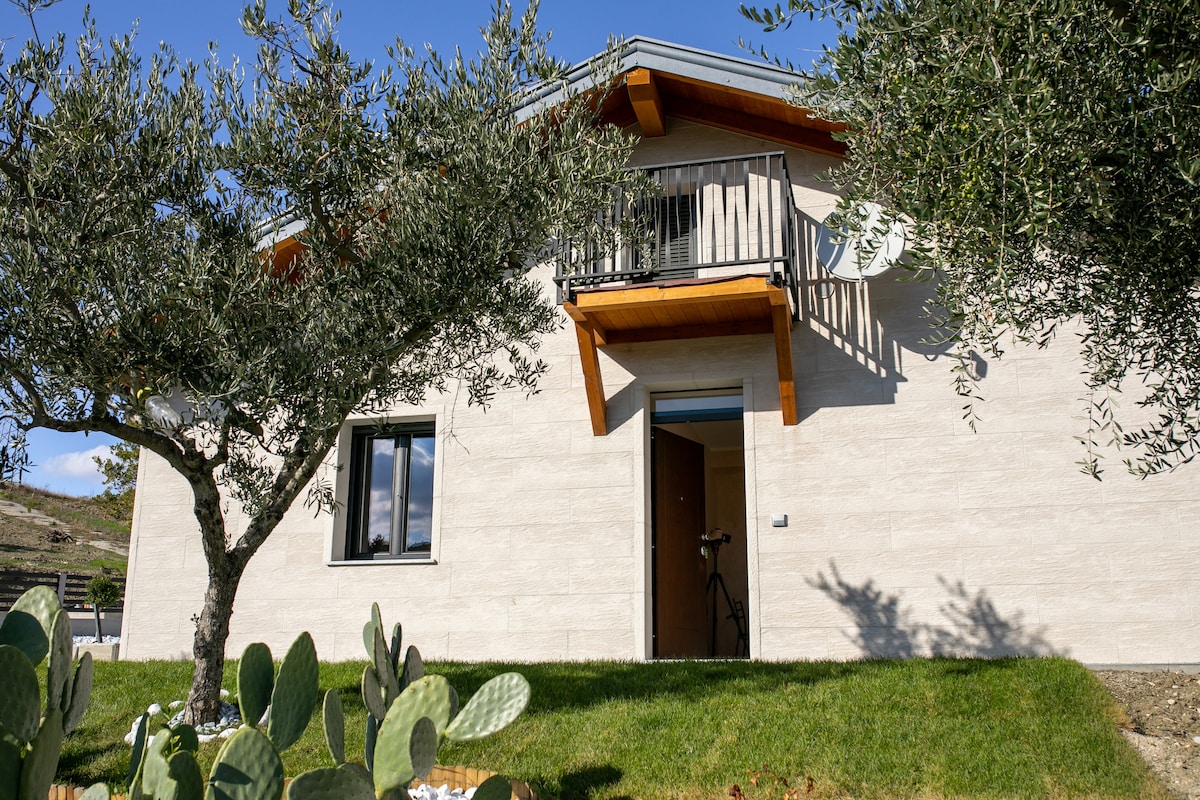 The exterior of the modern house is presented, featuring a light-colored façade and a welcoming entrance. A balcony is visible above, providing a view of the surrounding greenery. Olive trees and cacti enhance the landscaping, contributing to a serene outdoor environment.