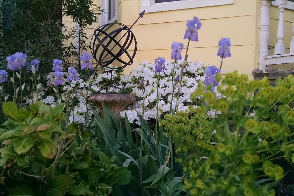 Front yard garden