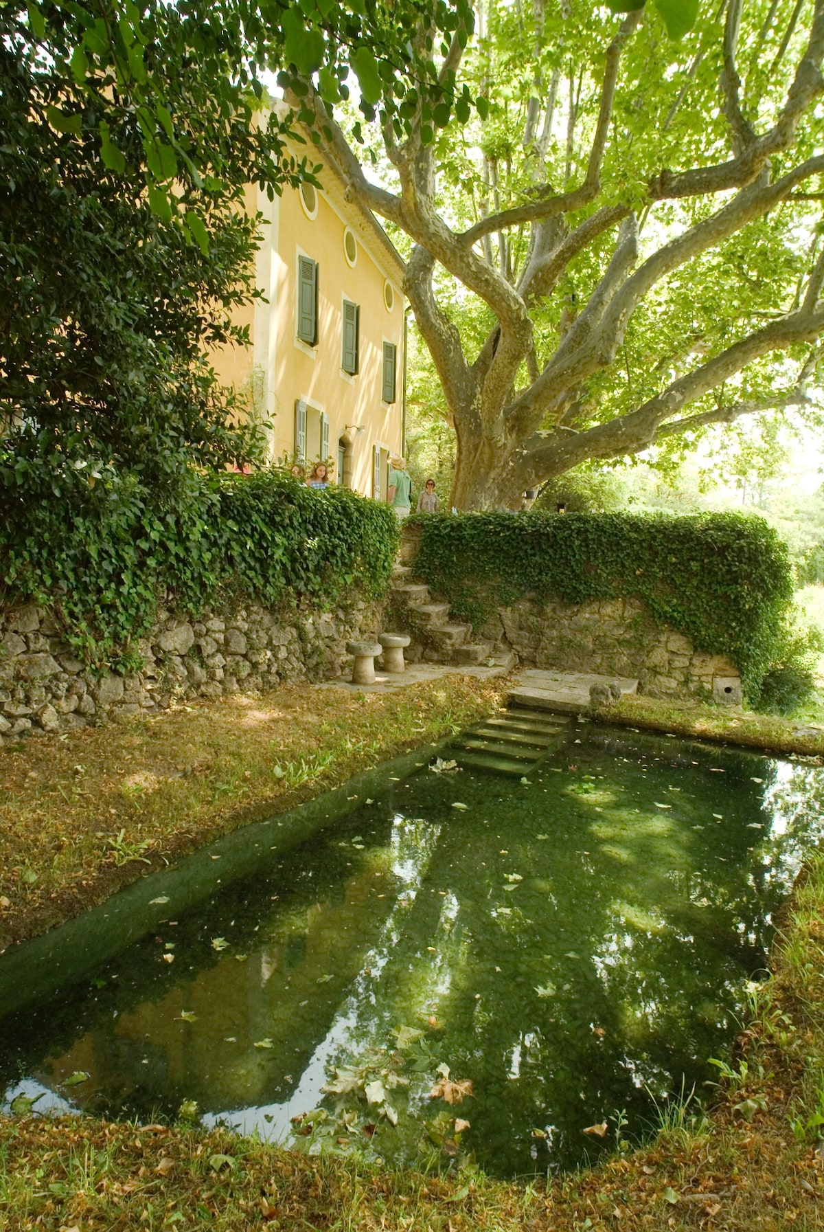A serene setting is depicted, featuring a charming house framed by an expansive tree. A narrow pond reflects the surroundings, with steps leading from the house's foundation into the water. Lush greenery surrounds the area, creating a peaceful atmosphere.