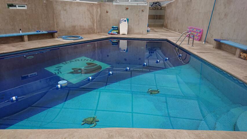 alberca climatizada para grupos!! gallery image 3