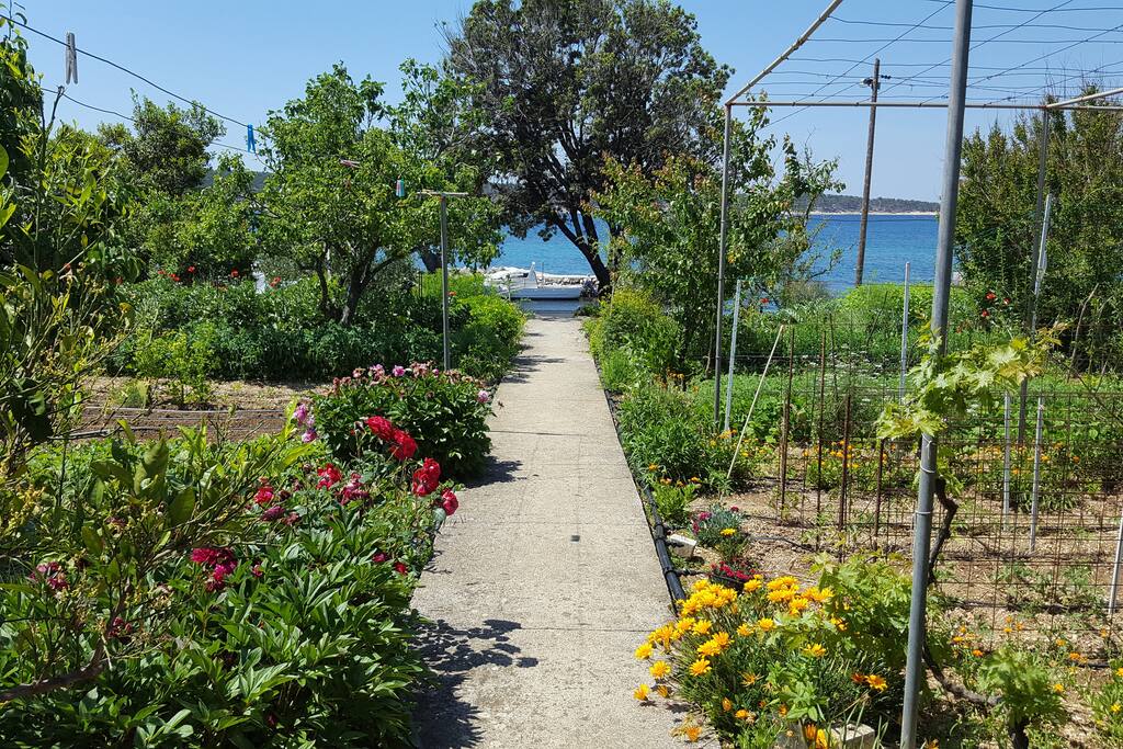 View from garden